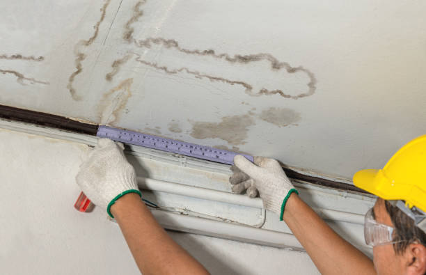 Reliable Emergency Water Damage Restoration contractor in Detroit Lakes, MN by Water Damage Irwin
